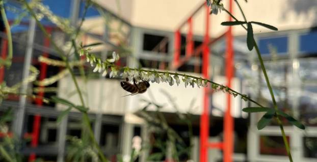 Le 22 octobre, on vous attend sous la Canopée de Growingpaper