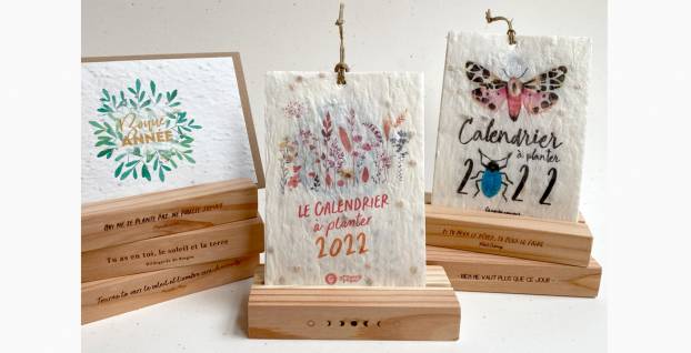 Idée cadeau ! Le calendrier à planter et son socle en bois éco-conçu